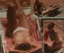 thm002_Elizabeth_Hurley_Gotcha03.jpg