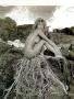 thm018_Eva_Herzigova30.jpg