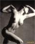 thm086_casta175.jpg