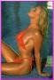 thm018_NOLIN361.jpg
